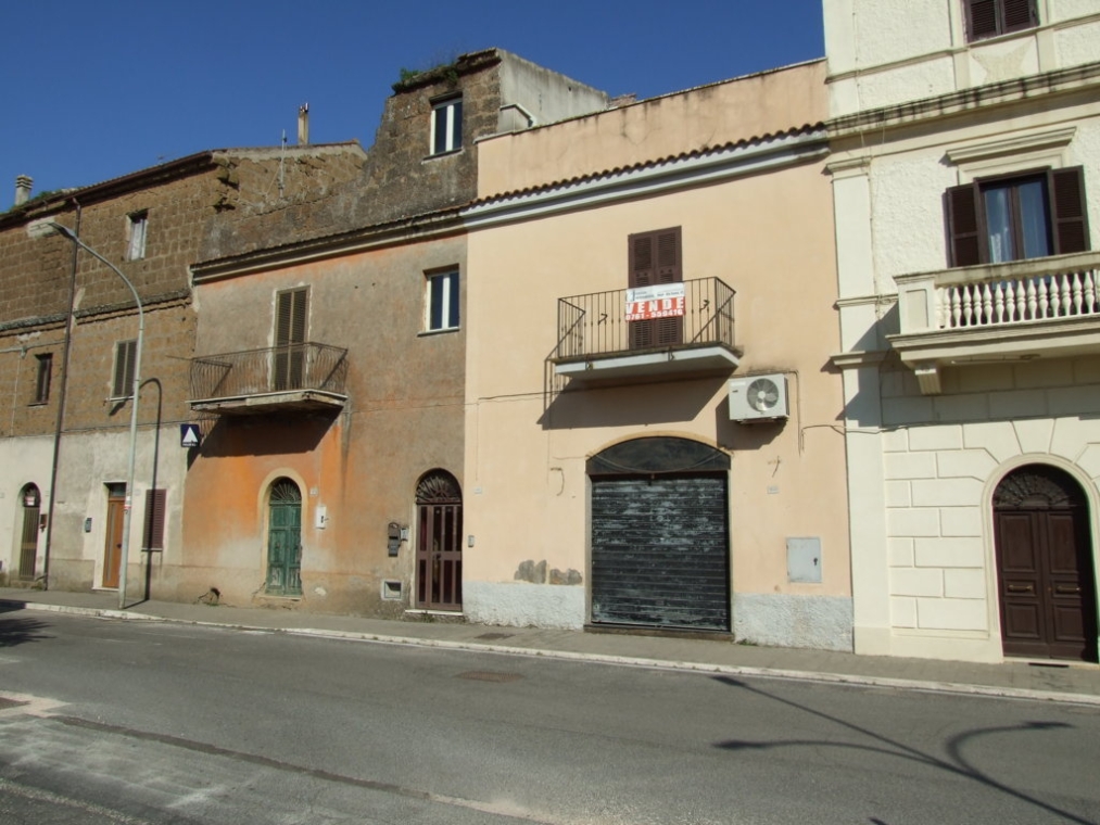 DSCF5134 (FILEminimizer).JPG